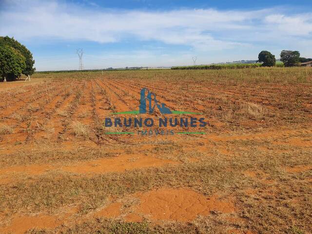 #1497 - Sítio para Venda em Artur Nogueira - SP - 3