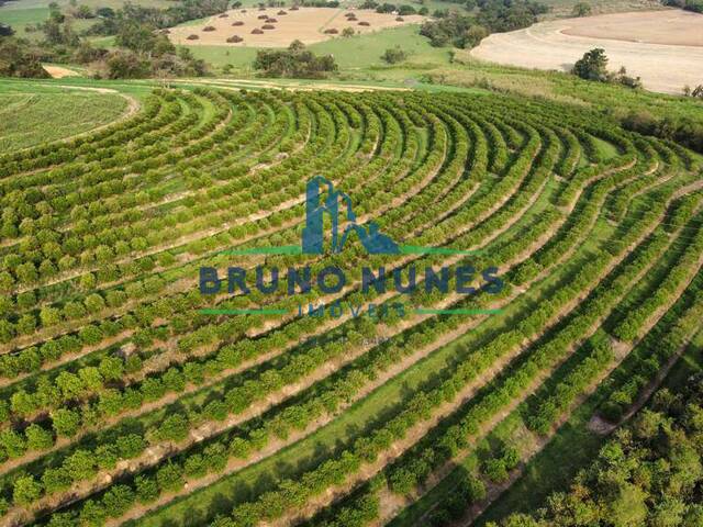 Venda em Área Rural de Artur Nogueira - Artur Nogueira