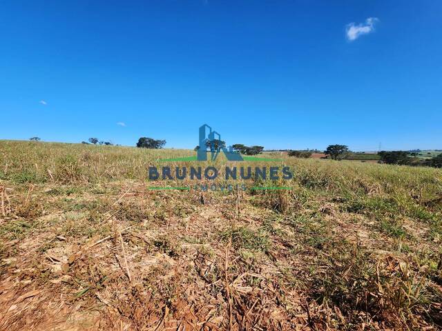 Sítio para Venda em Artur Nogueira - 5