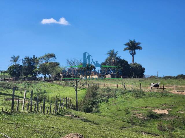 Venda em Área Rural de Artur Nogueira - Artur Nogueira