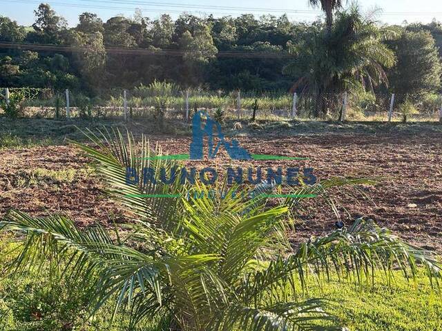 Sítio para Venda em Artur Nogueira - 4