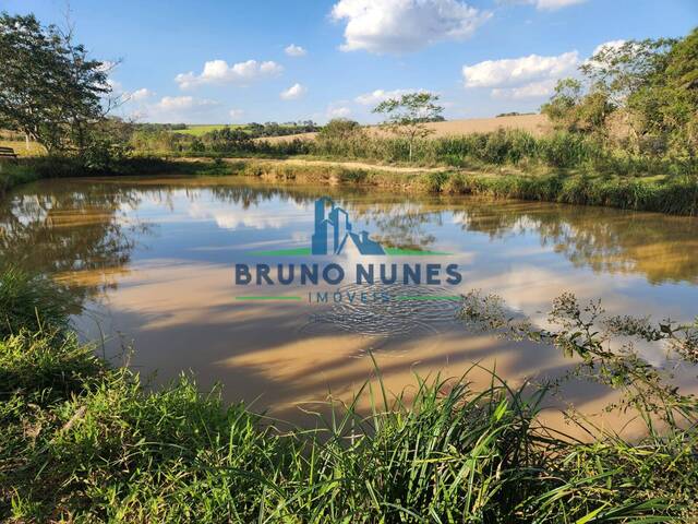 Sítio para Venda em Artur Nogueira - 5