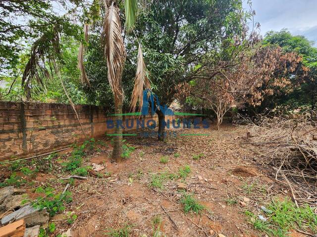 Terreno para Venda em Artur Nogueira - 4