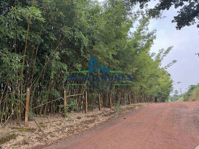 Sítio para Venda em Cosmópolis - 4