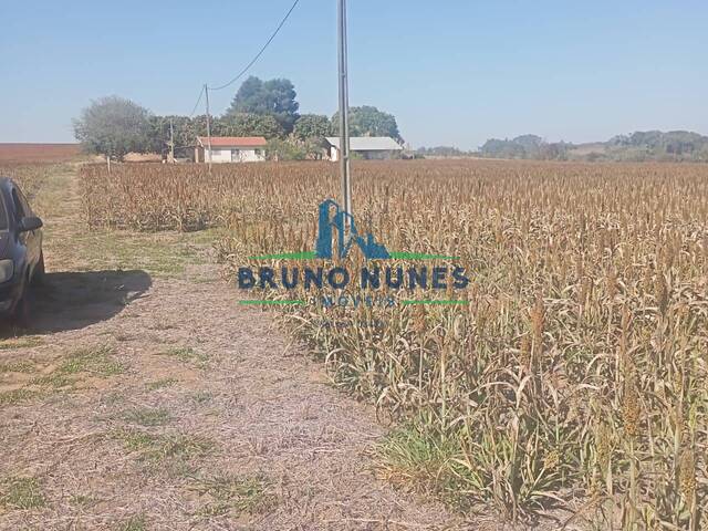 Sítio para Venda em Conchal - 5