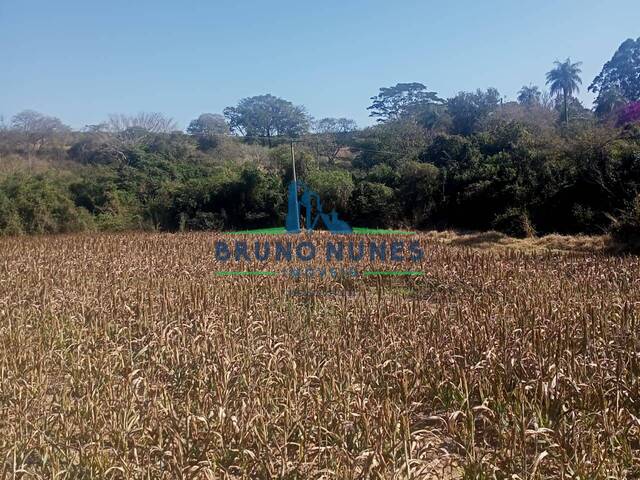 #2398 - Sítio para Venda em Conchal - SP - 3