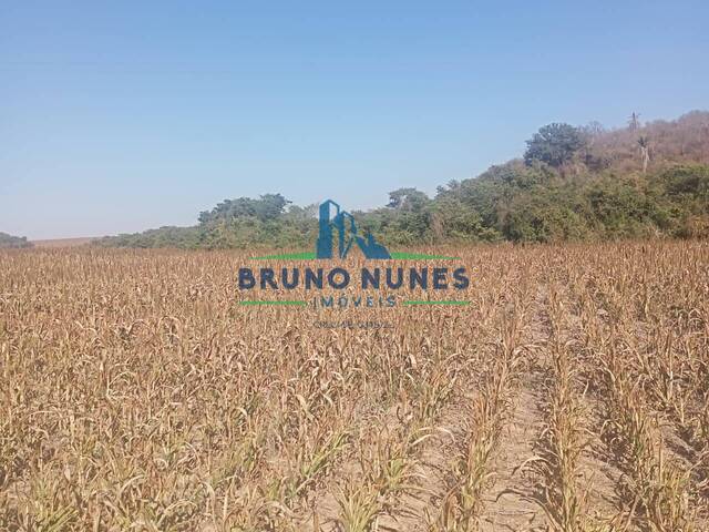 Sítio para Venda em Conchal - 4