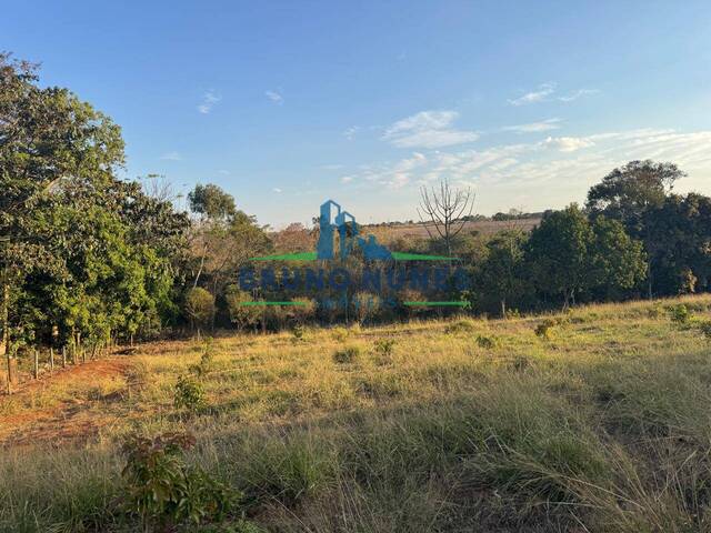 #2418 - Sítio para Venda em Engenheiro Coelho - SP - 2