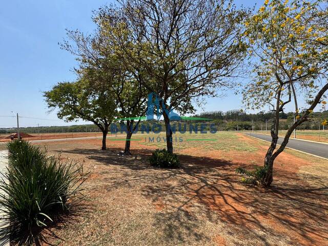 Terreno para Venda em Holambra - 4
