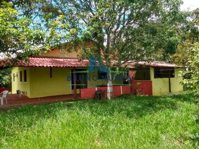#2444 - Sítio para Venda em Artur Nogueira - SP - 1