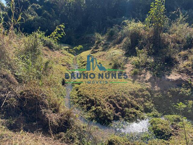 #2463 - Sítio para Venda em Artur Nogueira - SP - 3
