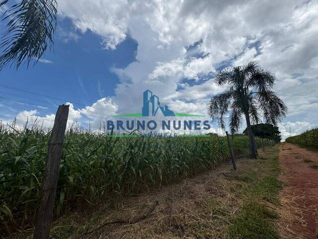 Sítio para Venda em Artur Nogueira - 5