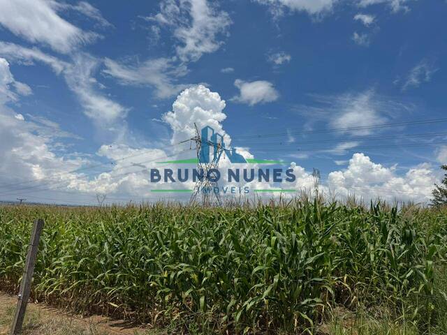 #2549 - Sítio para Venda em Artur Nogueira - SP - 3