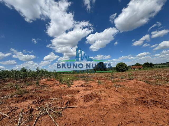 #2562 - Sítio para Venda em Artur Nogueira - SP - 3