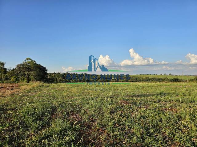 #2591 - Sítio para Venda em Moji Mirim - SP - 1