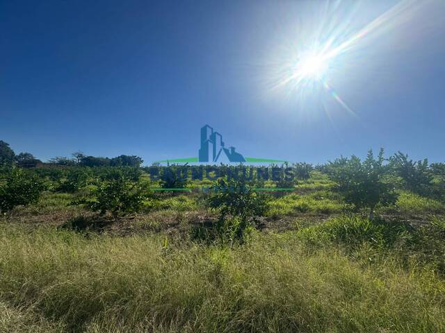 Chácara para Venda em Limeira - 5